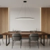 Nowoczesna lampa wisząca Led Orbit No.1 150 cm czarna smart barwa neutralna 4K LEDesign